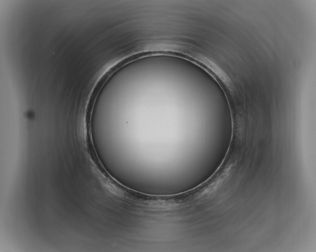 X0000112390980200908271336