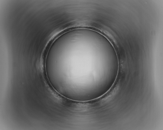 X0000112390981200908271336