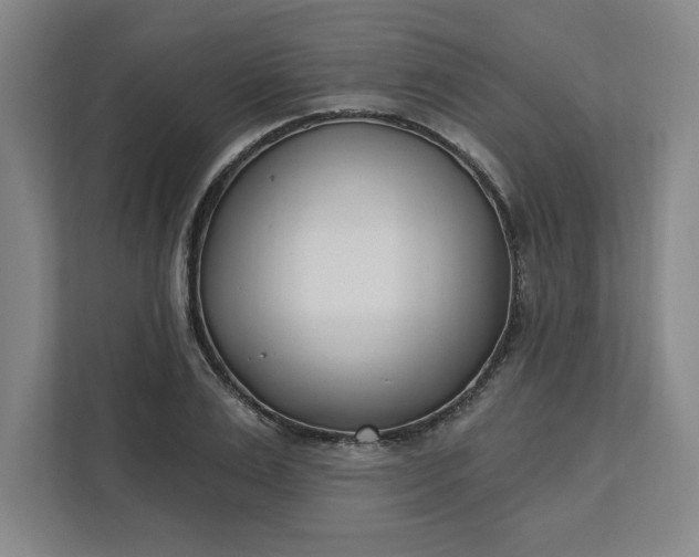 X0000112390983200908271336