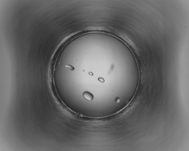 X0000112390984200908271336