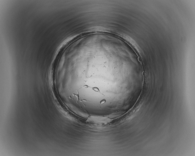 X0000112390987200908271336