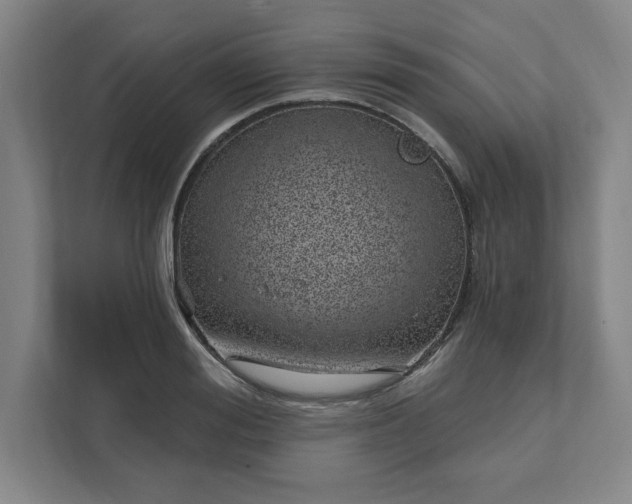 X0000112390988200908271336