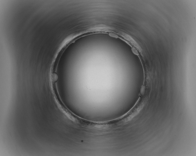 X0000112390989200908271336