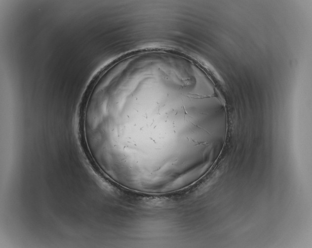 X0000112390991200908271336