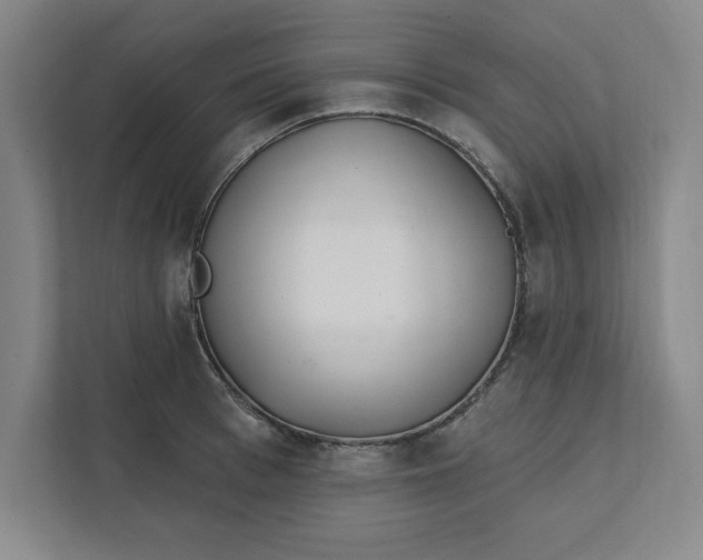 X0000112390993200908271336