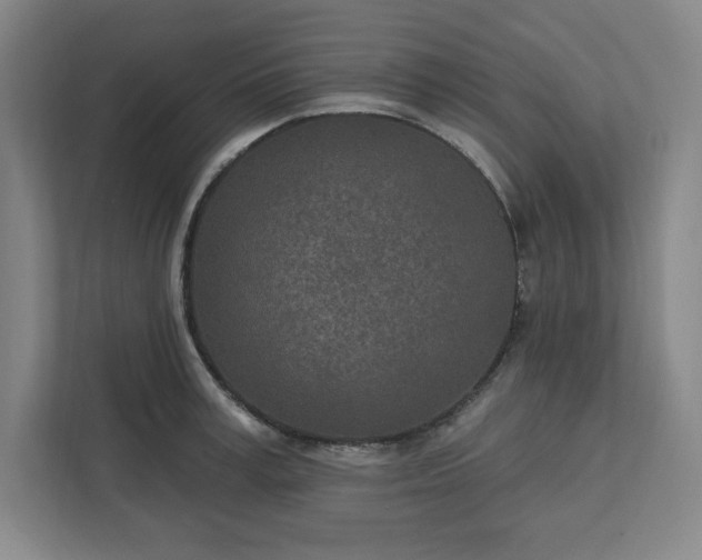 X0000112390995200908271336