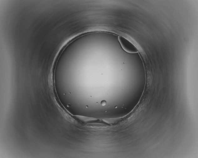 X0000112390996200908271336