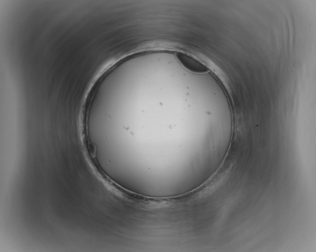 X0000112390997200908271336