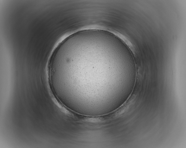 X0000112390998200908271336