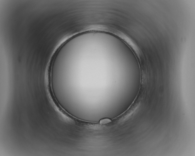 X0000112390999200908271336