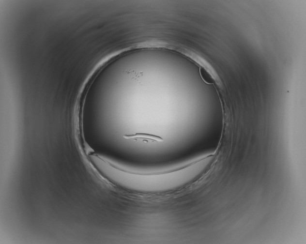 X0000112391000200908271336