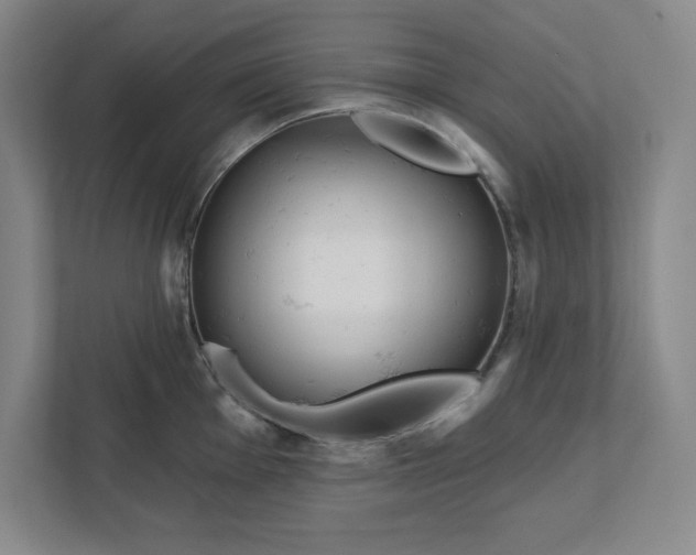 X0000112391001200908271336