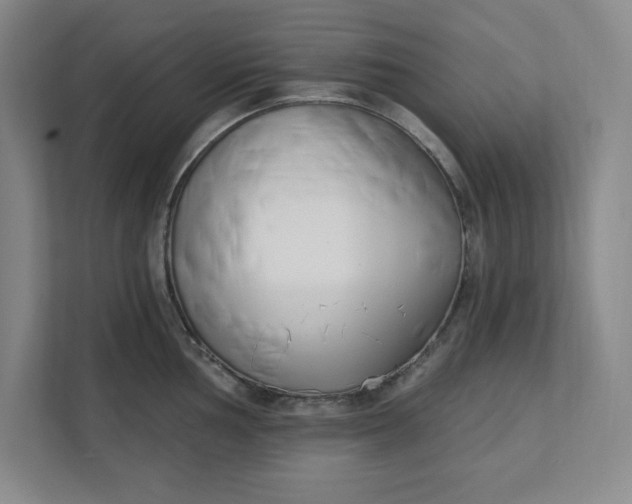 X0000112391002200908271336