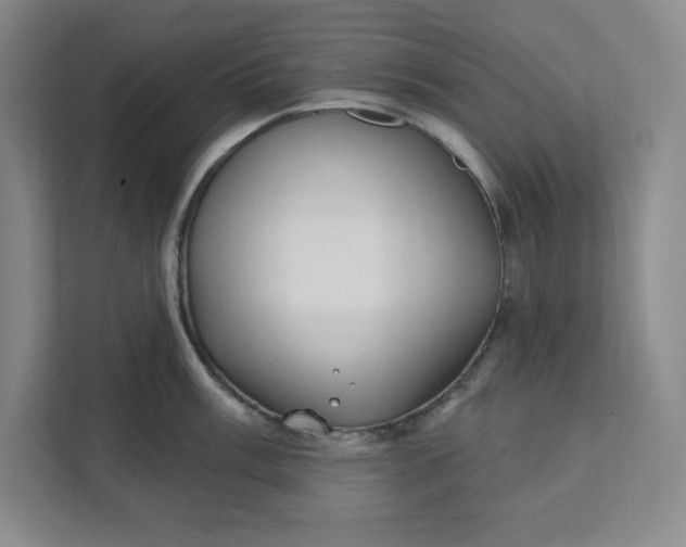 X0000112391003200908271336