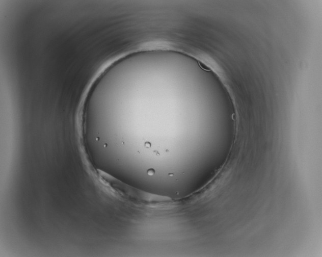 X0000112391008200908271336