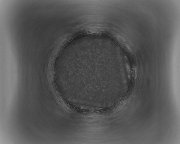 X0000112391009200908271335