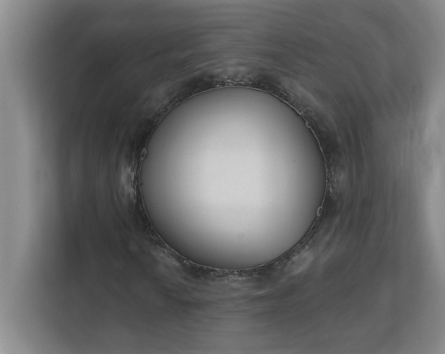 X0000112391010200908271335