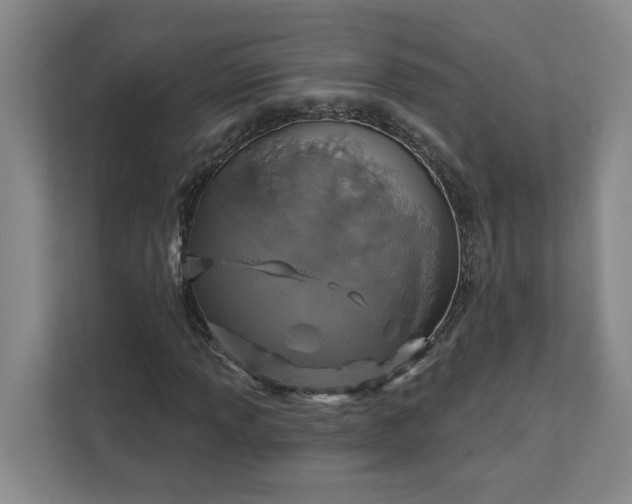 X0000112391013200908271335