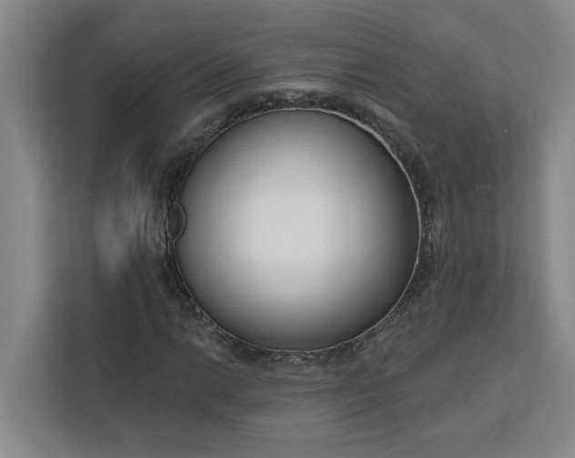 X0000112391014200908271335