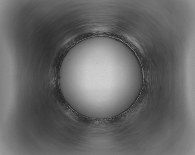 X0000112391015200908271335