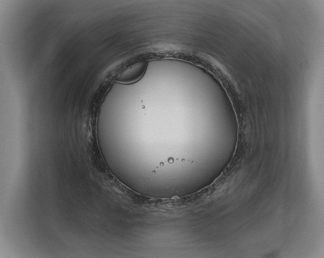 X0000112391016200908271335