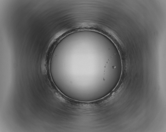 X0000112391018200908271335