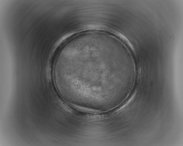 X0000112391019200908271335