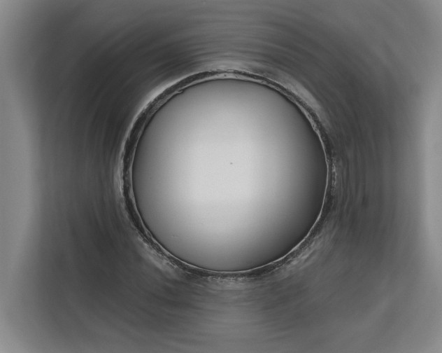 X0000112391020200908271335