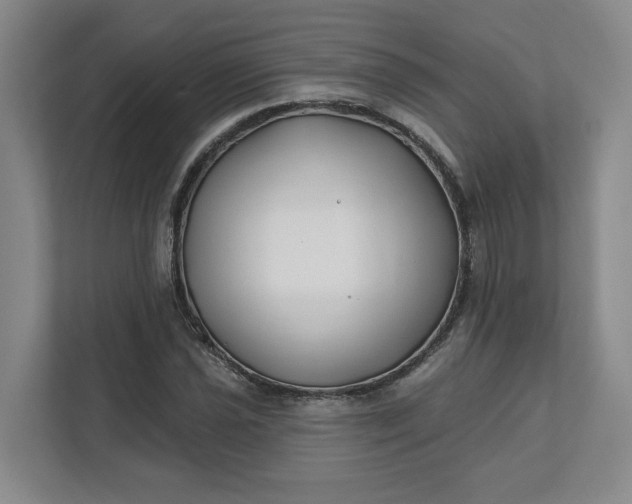 X0000112391021200908271335