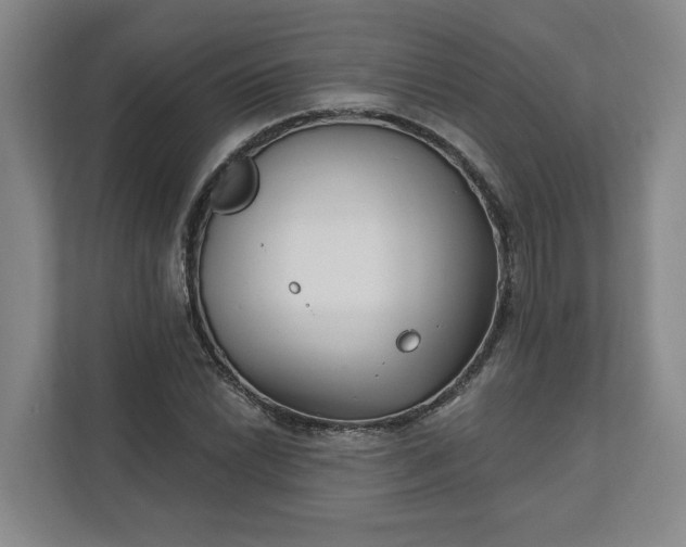 X0000112391022200908271335