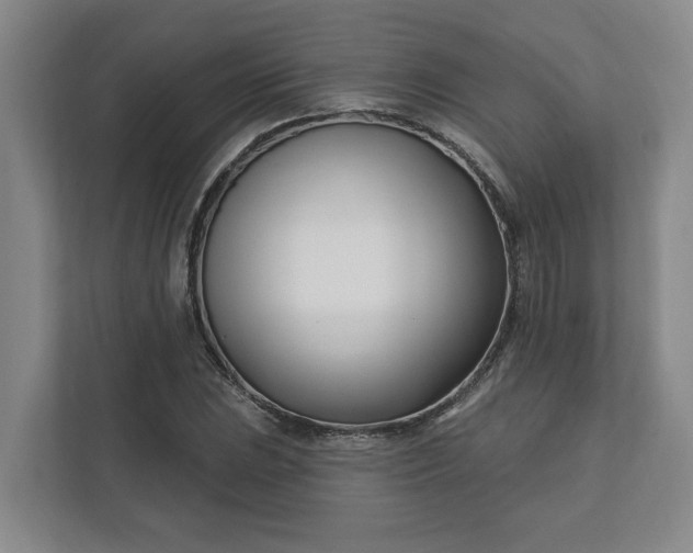 X0000112391023200908271335