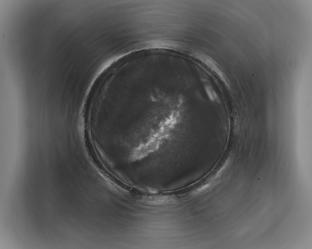 X0000112391024200908271335