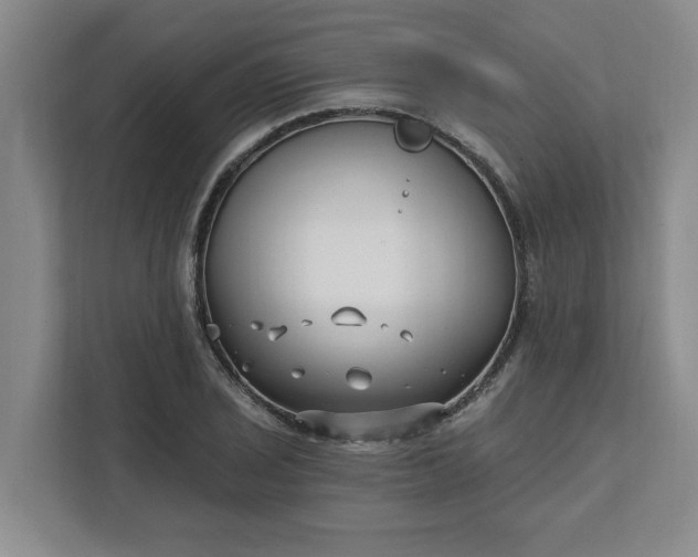 X0000112391029200908271335