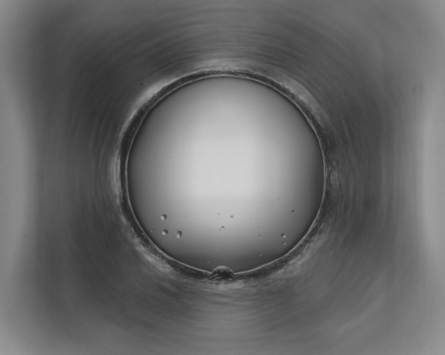 X0000112391030200908271335