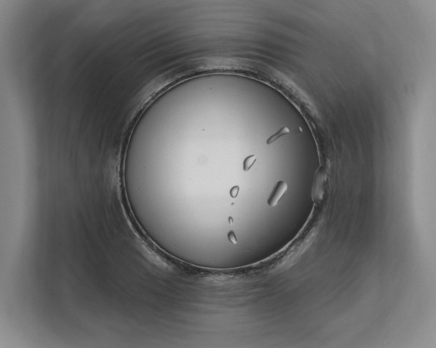 X0000112391033200908271336