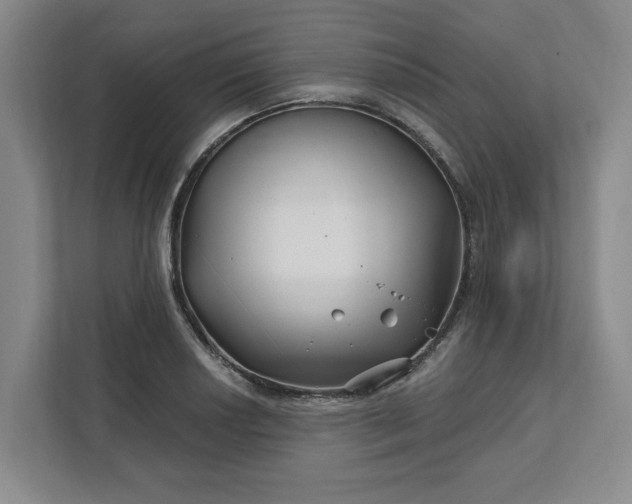 X0000112391034200908271336