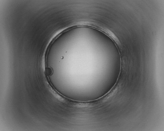 X0000112391036200908271336