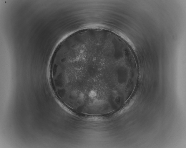 X0000112391037200908271336