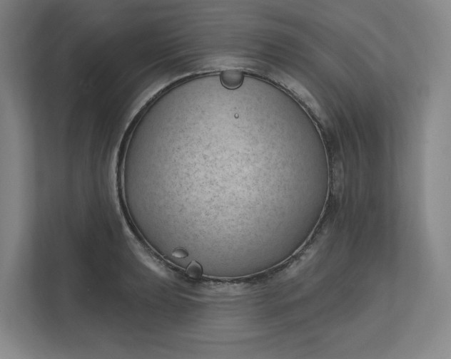 X0000112391039200908271336