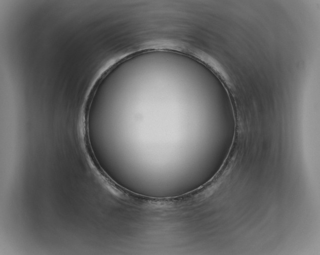 X0000112391040200908271336