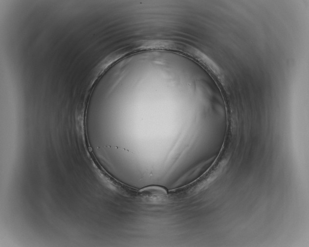 X0000112391041200908271336