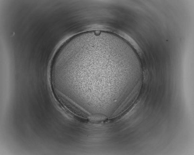 X0000112391043200908271336