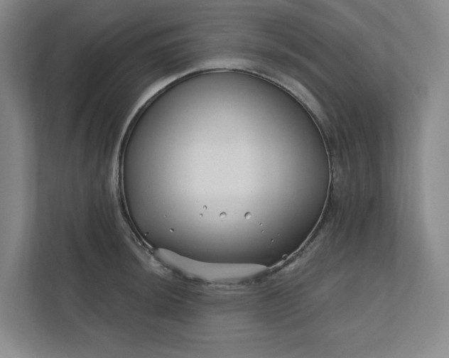 X0000112391044200908271336