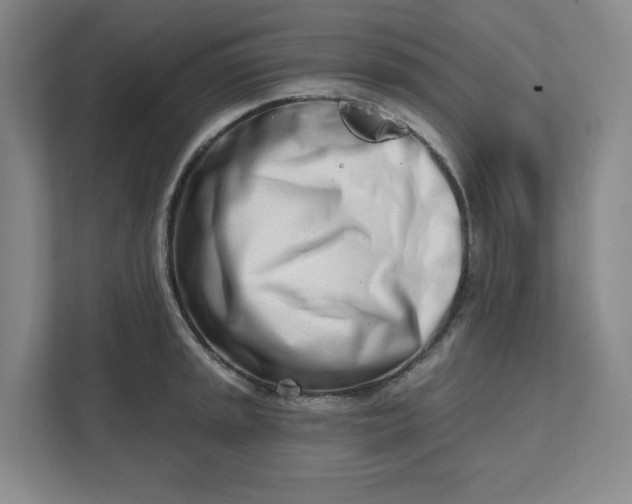 X0000112391045200908271336