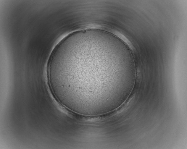 X0000112391047200908271336