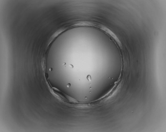 X0000112391049200908271336