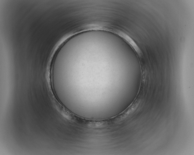 X0000112391051200908271336