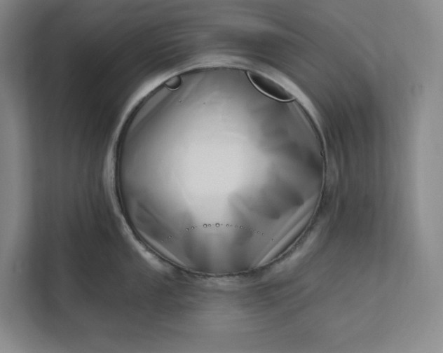 X0000112391053200908271336