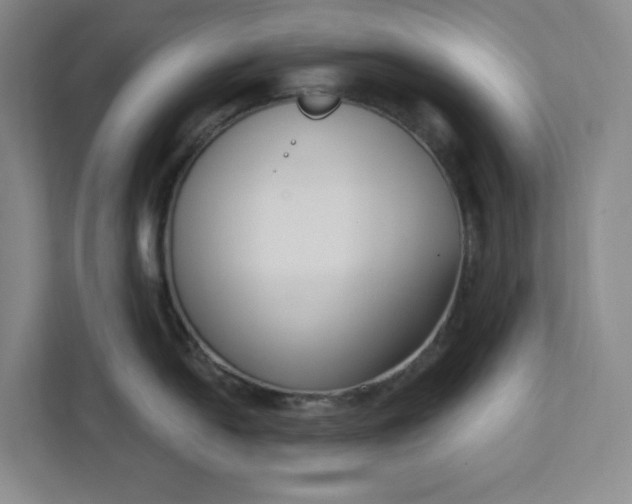 X0000112391054200908271336