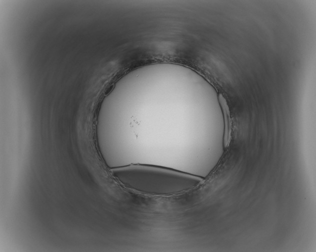 X0000112391057200908271335